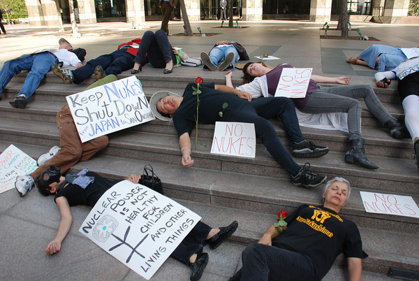 NH #54 - The Battle for Indian Point (NYC) and Activist Legal Strategies w/Susan Hito Shapiro