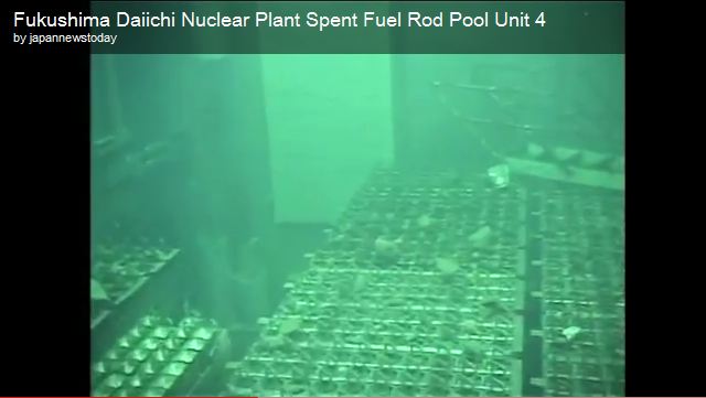NH #126: Wasserman, Gundersen on TEPCO, SFP4 & Activism NOW