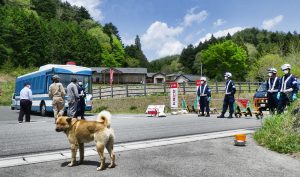 NH #297: Saving Fukushima's Abandoned Pets - Kerry Anne O'Connor